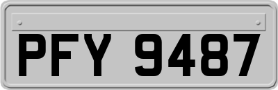PFY9487