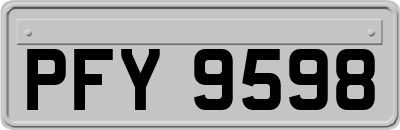 PFY9598