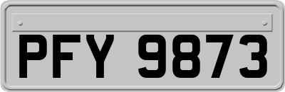 PFY9873
