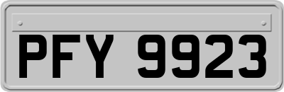 PFY9923