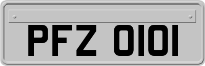 PFZ0101