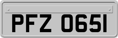 PFZ0651