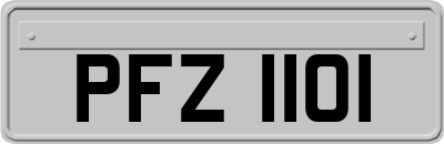 PFZ1101