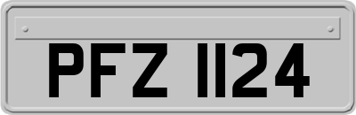 PFZ1124