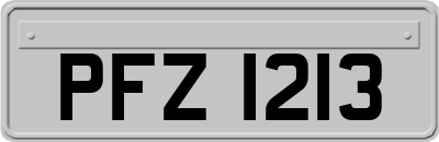 PFZ1213