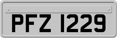 PFZ1229