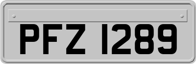 PFZ1289