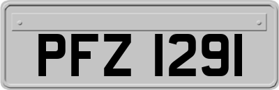 PFZ1291