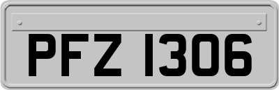 PFZ1306