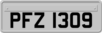 PFZ1309