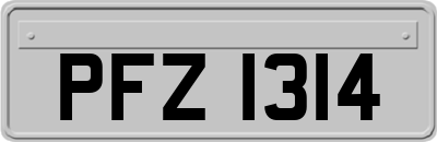 PFZ1314