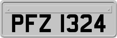 PFZ1324