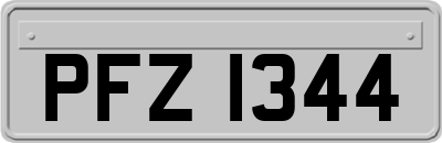 PFZ1344