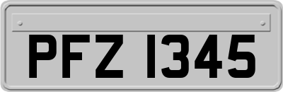 PFZ1345