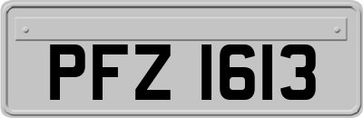 PFZ1613