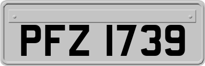 PFZ1739