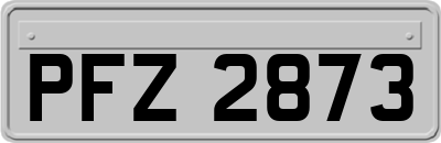PFZ2873