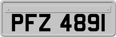 PFZ4891