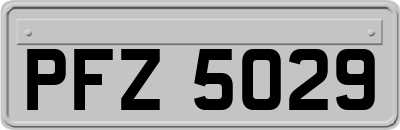 PFZ5029