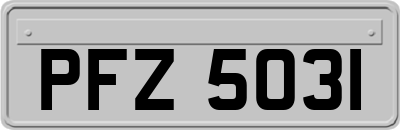PFZ5031