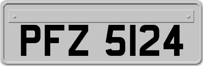PFZ5124