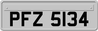 PFZ5134
