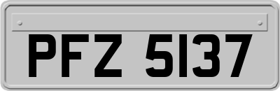 PFZ5137