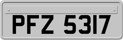 PFZ5317
