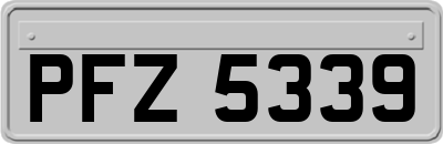 PFZ5339