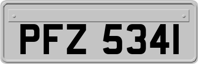 PFZ5341