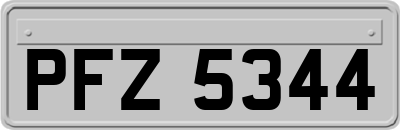 PFZ5344
