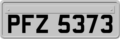 PFZ5373
