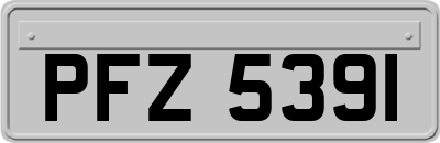 PFZ5391