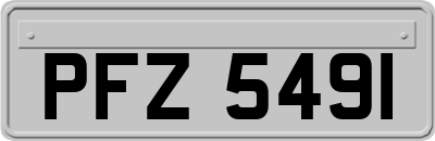 PFZ5491