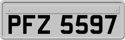 PFZ5597