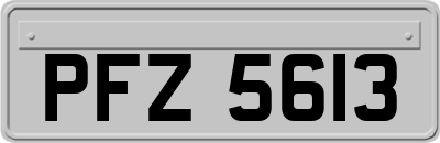 PFZ5613