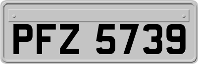 PFZ5739