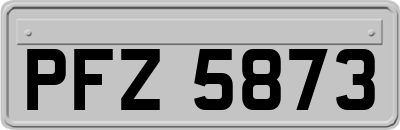 PFZ5873