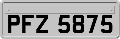 PFZ5875