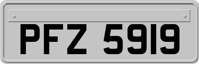 PFZ5919