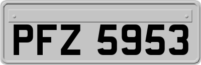 PFZ5953
