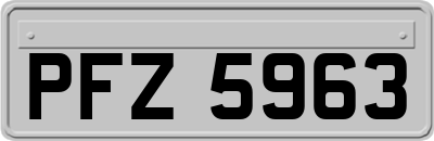 PFZ5963