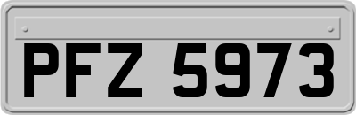 PFZ5973
