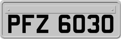 PFZ6030