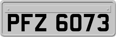 PFZ6073