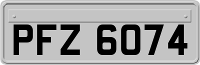 PFZ6074