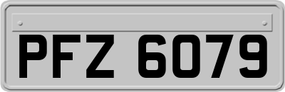 PFZ6079