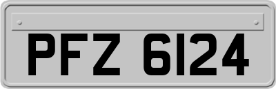 PFZ6124