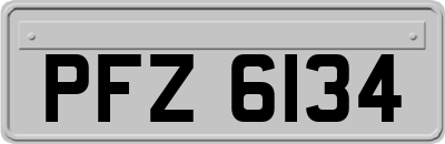 PFZ6134