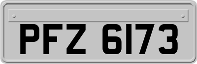 PFZ6173